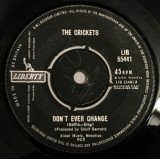 The Crickets (2) - Don't Ever Change (7