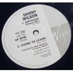 Danny Wilson (2) - Davy (The Strepzil Logic Twelve Inch) (12