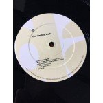 The Darling Buds - Shame On You (12