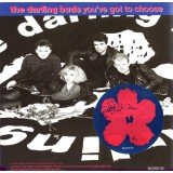 The Darling Buds - You've Got To Choose (7