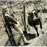 Daryl Hall - Three Hearts In The Happy Ending Machine (LP, Album) Daryl Hall - Three Hearts In The Happy Ending Machine (LP, Album)