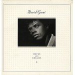 David Grant - Hopes And Dreams (LP, Album)