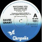 David Grant - Watching You Watching Me (Extended Version) (12