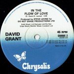 David Grant - Watching You Watching Me (Extended Version) (12