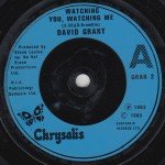 David Grant - Watching You, Watching Me (7