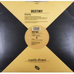 Destiny (4) - Destiny (12