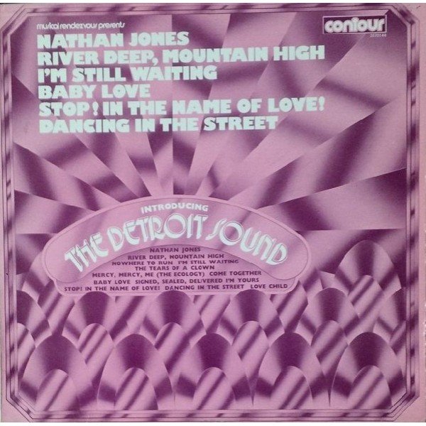 The Detroit Sound - Introducing The Detroit Sound (LP, Album)