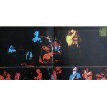 The Doors - Absolutely Live (2xLP, Album, RE, Gat)