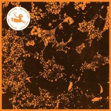 Downliners Sekt - Silent Ascent (CD, Album)