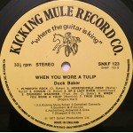 Duck Baker - When You Wore A Tulip (LP)
