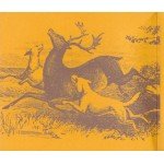 The Duke Spirit - Cuts Across The Land (CD, Album + CD, Album + S/Edition, Gat)