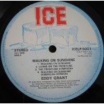 Eddy Grant - Walking On Sunshine (LP, Album)