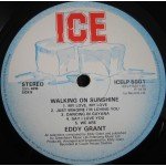 Eddy Grant - Walking On Sunshine (LP, Album)