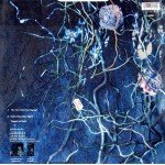Enya - How Can I Keep From Singing? (12