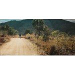 Eric Clapton - Journeyman (LP, Album, Gat)