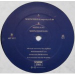 Fields Of The Nephilim - Moonchild (Longevity) (12