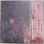 Fields Of The Nephilim - The Nephilim (LP, Album, Gat)