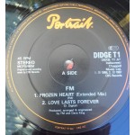FM (6) - Frozen Heart (12