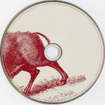 Foo Fighters - In Your Honour (2xCD, Album, RP)