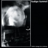 Fudge Tunnel - Hate Songs In E Minor (LP, Album)