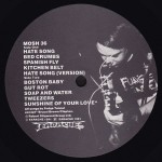 Fudge Tunnel - Hate Songs In E Minor (LP, Album)