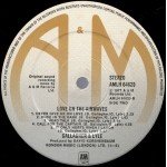 Gallagher And Lyle* - Love On The Airwaves (LP, Album)