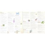 Genesis - Duke (LP, Album, Gat)