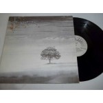Genesis - Wind & Wuthering (LP, Album, RE, Don)