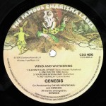 Genesis - Wind & Wuthering (LP, Album, Tex)