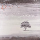 Genesis - Wind & Wuthering (LP, Album, Don)