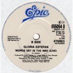 Gloria Estefan - Don't Wanna Lose You (7