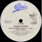 Gloria Estefan - Oye Mi Canto (Hear My Voice) (7