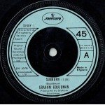 Graham Gouldman - Sunburn (7
