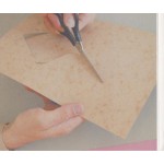 Gruff Rhys - Candylion (CD, Album, Car)