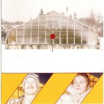 Gusgus - Attention (CD, Album)