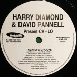 Harry Diamond & David Pannell Present Ca-Lo - Tamara's Groove / Word Science (12