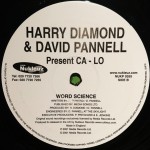 Harry Diamond & David Pannell Present Ca-Lo - Tamara's Groove / Word Science (12