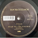 Ian McCulloch - Faith & Healing (The Carpenter's Son Mix) (12