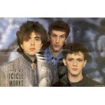 The Icicle Works - Evangeline (12