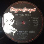 The Icicle Works - Love Is A Wonderful Colour (12