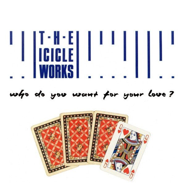 The Icicle Works - Who Do You Want For Your Love? (7