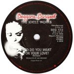 The Icicle Works - Who Do You Want For Your Love? (7