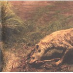 Interpol - Our Love To Admire (CD, Album + DVD-V, EP, PAL + Ltd, RE)