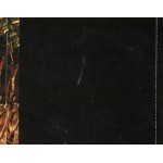 Interpol - Our Love To Admire (CD, Album + DVD-V, EP, PAL + Ltd, RE)