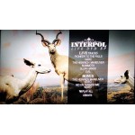 Interpol - Our Love To Admire (CD, Album + DVD-V, EP, PAL + Ltd, RE)