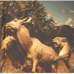 Interpol - Our Love To Admire (CD, Album + DVD-V, EP, PAL + Ltd, RE)