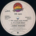 James Ingram - She Loves Me (The Best That I Can Be) (12 James Ingram - She Loves Me (The Best That I Can Be) (12