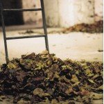 Jamie Smith's Mabon - Windblown (CD, Album)