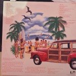 Jan & Dean - Ride The Wild Surf (LP, Comp)
