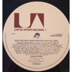 Jan & Dean - Ride The Wild Surf (LP, Comp)
